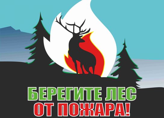 Правила поведения в лесу. Пожарная безопасность в лесу.